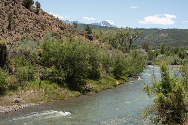 istock Mountain Creek on a Summer Day 1254257769