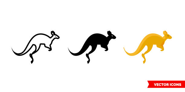 ilustrações, clipart, desenhos animados e ícones de ícone canguru de 3 tipos. símbolo isolado do sinal vetorial - wallaby kangaroo australian culture australia