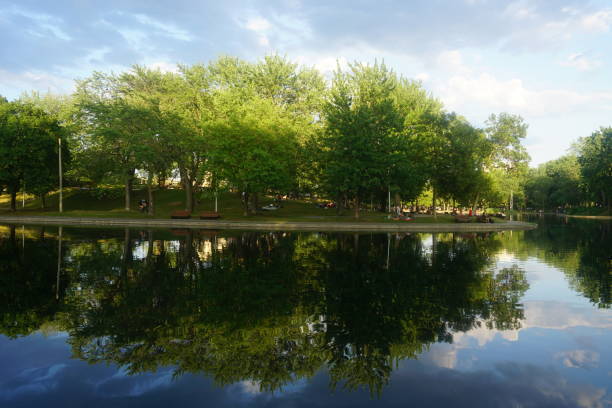 Montreal, QC / Canada - 7/3/2020: reflections of trees on lake water, La Fontaine Park. stock photo