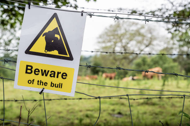 フィールドを囲む有刺鉄線フェンスに取り付けられた警告サイン - sign farm irish culture bull ストックフォトと画像