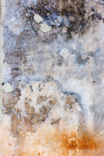 istock Abstract concrete, weathered with cracks and scratches. Landscape style. Grungy Concrete Surface. Great background or texture. 1254260322