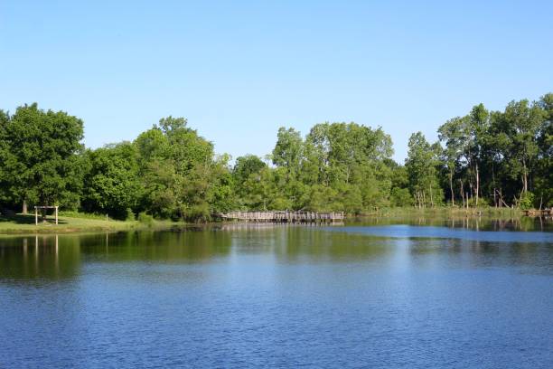 istock Beautiful Country Lake 1254261523