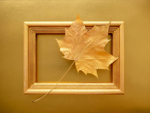 istock golden autumn. Maple leaf framed on a gold paper background. 1254261969