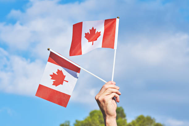 Raised hand with two waving Canadian flag against blue sky. Happy Canada day. 1st July celebrate national holiday of Canada called as Canada's birthday Raised hand with two waving Canadian flag against blue sky. Happy Canada day. 1st July celebrate national holiday of Canada called as Canada's birthday canada day photos stock pictures, royalty-free photos & images
