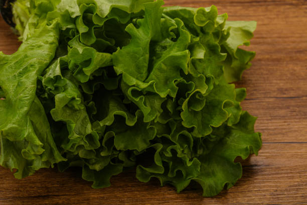 Vegan cuisine - Green lettuce salad heap leaves