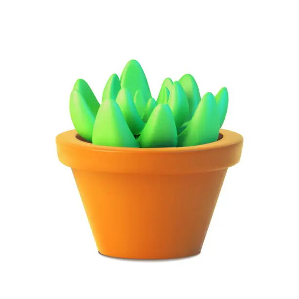 Vector illustration of Realistic succulent front view, vector of indoor plant in pot.