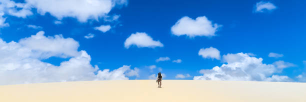 istock Lencois Maranhenses, National Park, Maranhao. Web banner in panoramic view. 1254269549