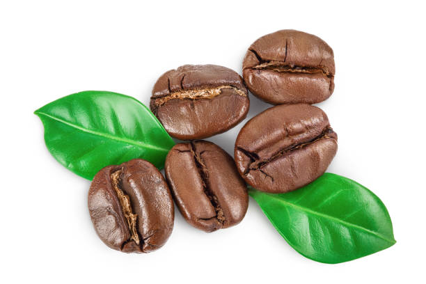 istock roasted coffee beans with leaves isolated on white background with clipping path and full depth of field. Top view. Flat lay. 1254270789