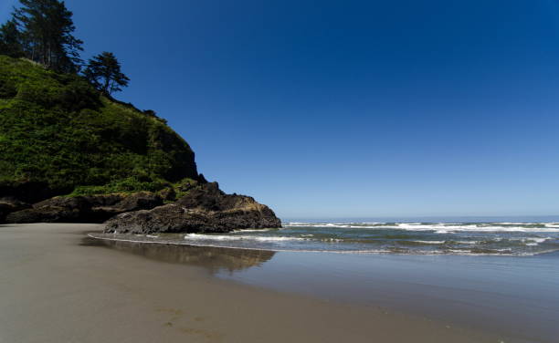 istock Low tide near rocks of Beards Hollow 1254271704