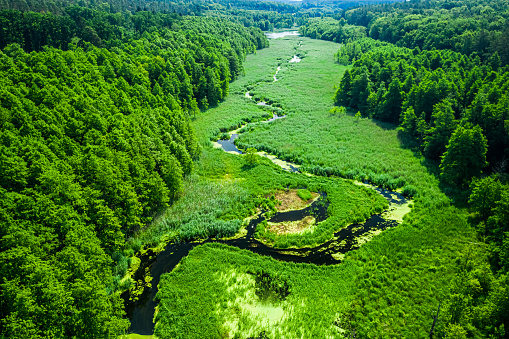 Aerial view of the the river in spring, Poland