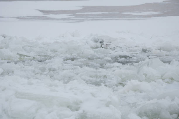 istock Winter on the Volga in Russia 1254273814