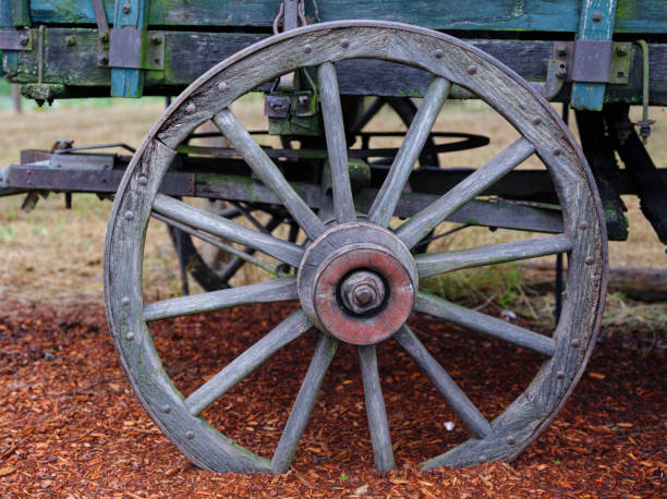 istock Single old rusty wagon wheel in the garden for decoration 1254274983