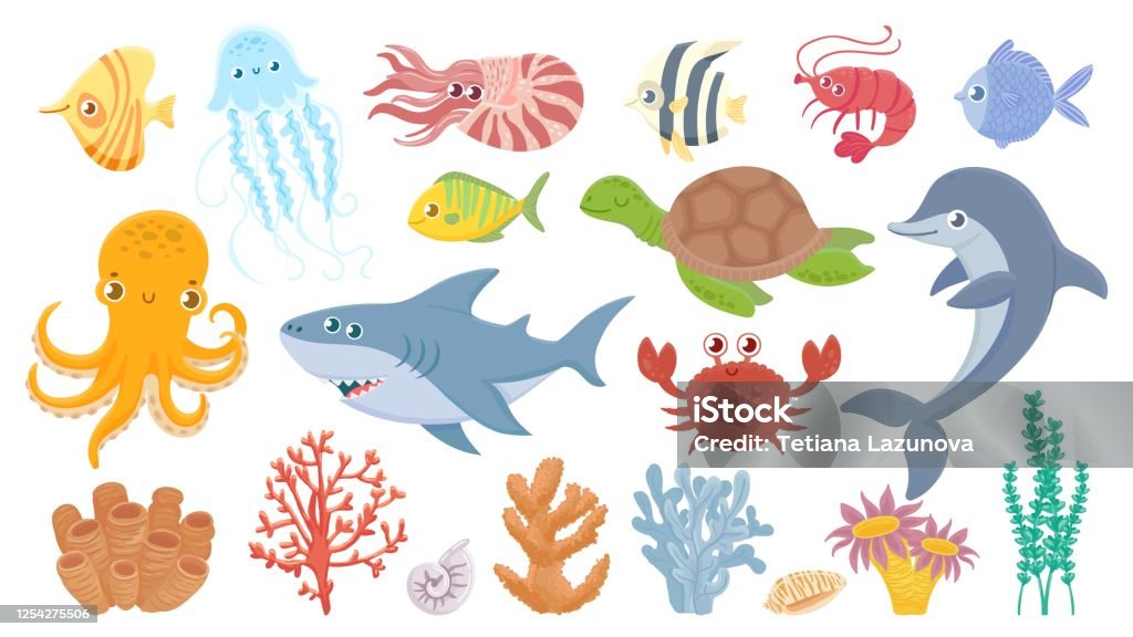 Ilustración de Vida Marina De Dibujos Animados Bonitos Peces De Mar Corales Acuáticos Medusas Y Pulpos Tiburón Y Delfín Divertidos Conjunto De Ilustración Vectorial De Cangrejo Oceánico Tortuga Marina Y Camarón y Ilustración de Vida Marina De Dibujos Animados Bonitos Peces De Mar Corales Acuáticos Medusas Y Pulpos Tiburón Y Delfín Divertidos Conjunto De Ilustración Vectorial De Cangrejo Oceánico Tortuga Marina Y Camarón y