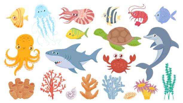 ilustraciones, imágenes clip art, dibujos animados e iconos de stock de vida marina de dibujos animados. bonitos peces de mar, corales acuáticos, medusas y pulpos. tiburón y delfín divertidos. conjunto de ilustración vectorial de cangrejo oceánico, tortuga marina y camarón - jellyfish animal cnidarian sea