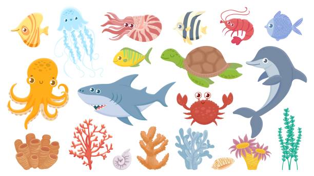 ilustrações, clipart, desenhos animados e ícones de vida marinha de desenho animado. peixes marinhos bonitos, corais aquáticos, águas-vivas e polvo. tubarão e golfinho engraçados. conjunto de ilustração de caranguejo-marinho, tartaruga marinha e camarão - vector reef coral shark