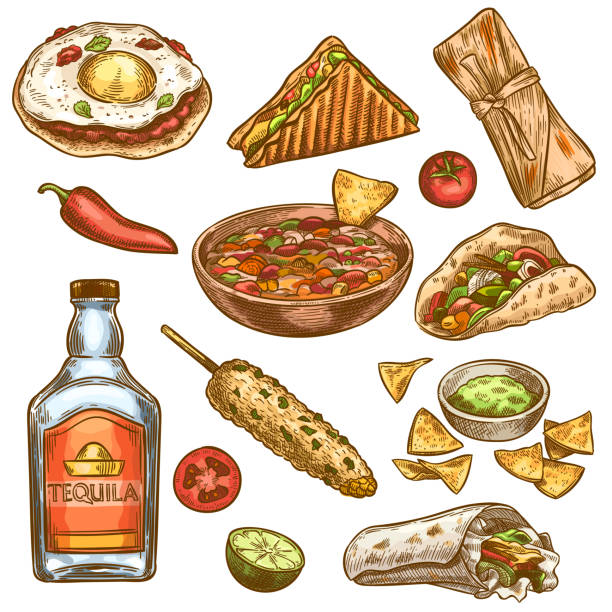 Traditional mexican food. Mexican national burrito, tacos and nachos, enchilada and chili pepper, tequila colored sketch vector set Traditional mexican food. Mexican national burrito, tacos and nachos, enchilada and chili pepper, tequila colored sketch vector set. Engraving vintage meal for menu design, spicy ingredients mexican culture food mexican cuisine fajita stock illustrations