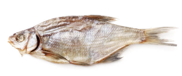 istock Dried fish on a white background, isolated. The view from top 1254276440