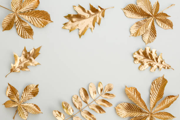 Frame of golden leaves. stock photo