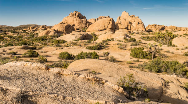 istock Monzogranite rock formations in Joshua Tree National Park, California 1254282261