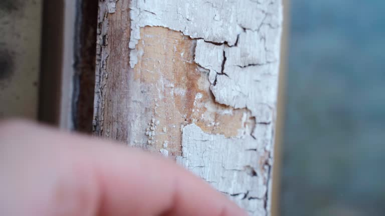 White paint cracking and falling away from faded wooden frame construction. Person peeling off old paint color from wooden surface, abstract background