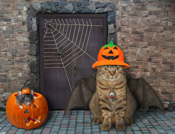 istock Cat with rat near castle 2 1254282457