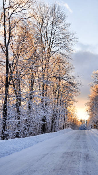 istock Snowy road with trees at dawn in winter. 1254282458