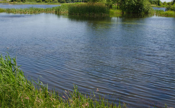 istock Waves of water outdoors with drops for life 1254282613