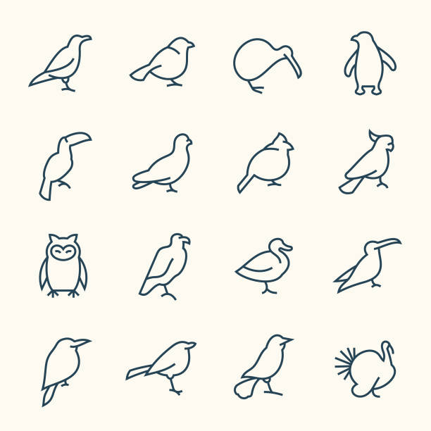 ilustraciones, imágenes clip art, dibujos animados e iconos de stock de iconos de la línea de aves - canturrear