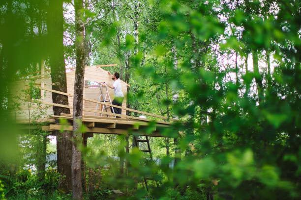 istock Father and son building tree house at backyard 1254285828