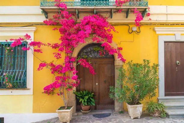 Italian house exterior with bougainvillea flowers on the wall around the doors in town Positano, Amalfi coast, Campania, Italy
