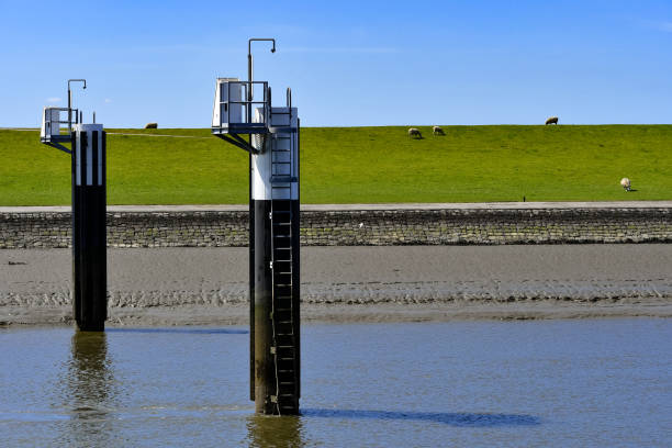 istock The harbor in Husum at low tide with sheep in the background 1254288370