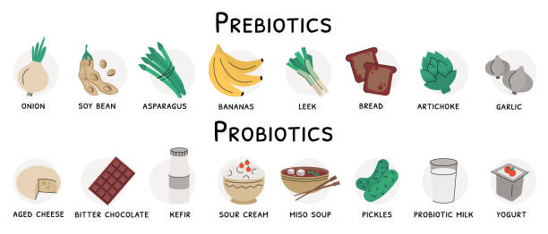 食品プレバイオティクスおよびプロバイオティクス製品の供給源 - probiotics点のイラスト素材／クリップアート素材／マンガ素材／アイコン素材