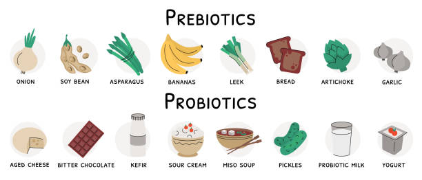 источники пищевых пребиотики и пробиотических продуктов - probiotics stock illustrations