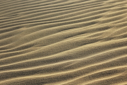 Sand waves formed at Dunes in \