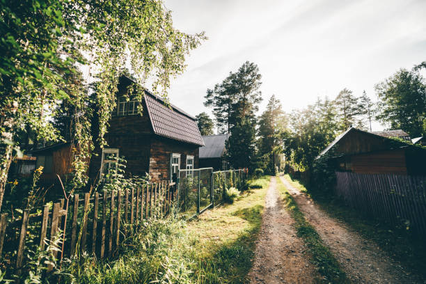 A wide-angle view of a sunny summer country street with wooden houses on sides; a narrow backstreet in the countryside with dachas and a dirt road stretching into the vanishing point at the distance