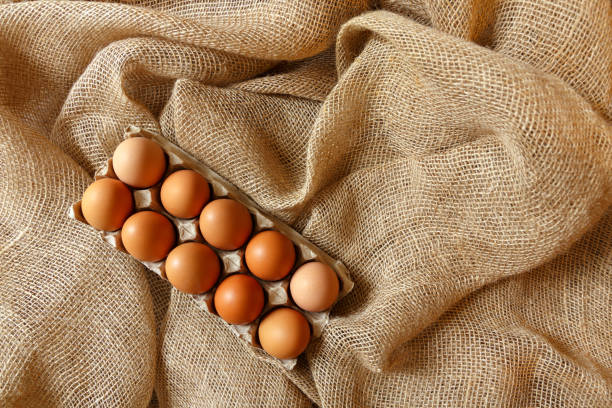 10 uova bianche fresche naturali in imballaggi di cartone eco-compatibili su sfondo burlap - agriculture brown burlap cholesterol foto e immagini stock