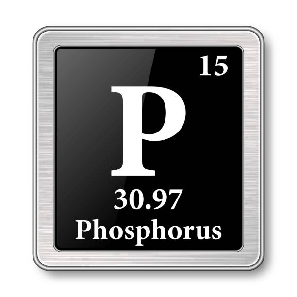 Phosphorus :: Витулкас. Detailed description.