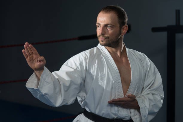 istock Taekwondo Fighter Expert With Fight Stance 1254297562