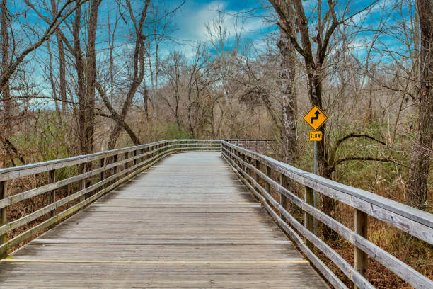 istock Elevated Wood Walkway in Winter Forest 1254300395