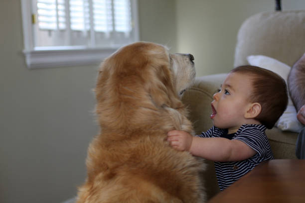 istock A Toddler Boy and Dog 1254304622
