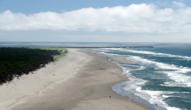 istock Aerial view of Benson Beach 1254305372