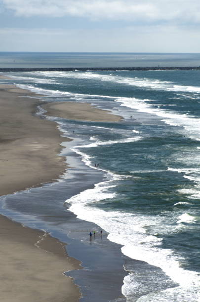 istock Aerial view of Benson Beach 1254305436