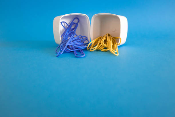 2 plastic white boxes in a row. There are colored paper clips inside. Stationery supplies. Photographed in blue background and studio.