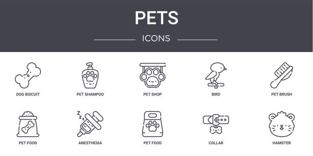 bildbanksillustrationer, clip art samt tecknat material och ikoner med husdjur konceptlinje ikoner som. innehåller ikoner som kan vara användbara för webb, logotyp, ui/ux såsom sällskapsdjursschampo, fågel, sällskapsdjursmat, sällskapsdjursmat, krage, hamster, borste, butik - hundgodis