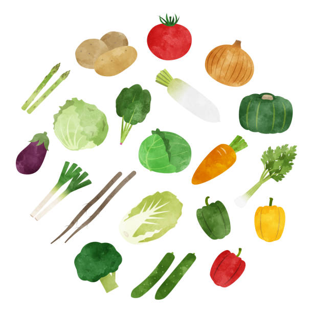 Vegetable watercolor icon set Vegetable watercolor vector icon set. material illustrations stock illustrations