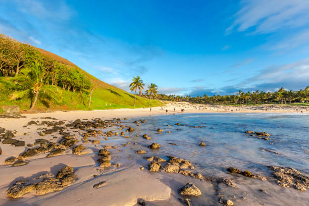 plage d’anakena sur l’île de pâques ou rapa nui au chili. moai à ahu nua nua. - nui photos et images de collection