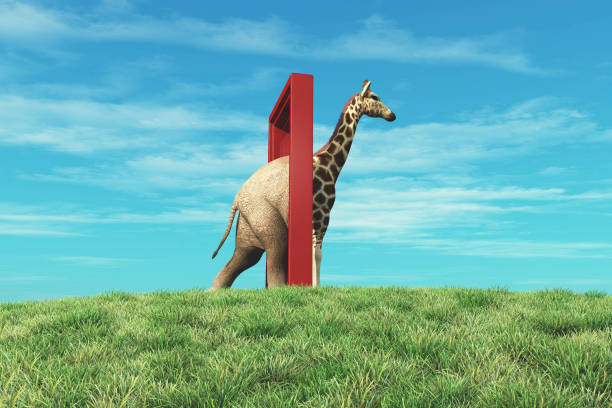 Elephant entering a door and gets out as a giraffe . Changing mindset and different approach concept . Life changing decision and new opportunities . This is a 3d render illustration . Elephant entering a door and gets out as a giraffe . Changing mindset and different approach concept . Life changing decision and new opportunities . This is a 3d render illustration . viewpoint stock pictures, royalty-free photos & images