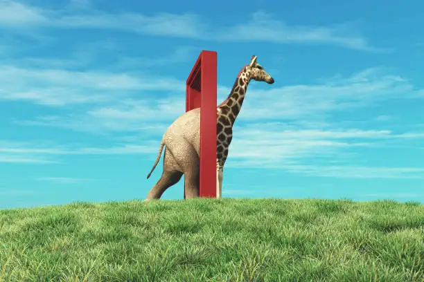 Elephant entering a door and gets out as a giraffe . Changing mindset and different approach concept . Life changing decision and new opportunities . This is a 3d render illustration .