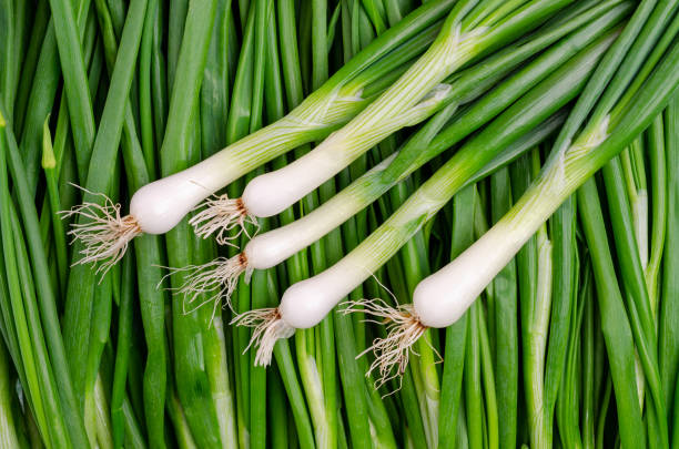 istock Background green onion leaves. 1254321067