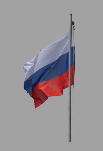istock Russian flag on a gray background. 1254327032